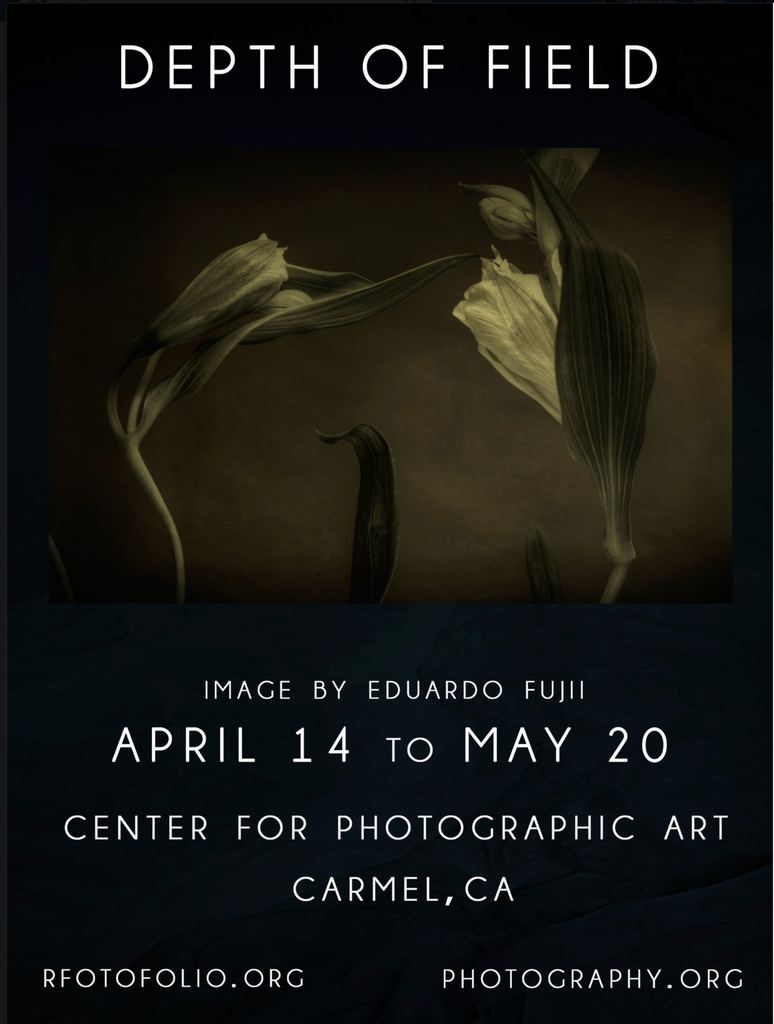 Depth of Field: Rfotofolio's Biennial Exhibition in Carmel, California
