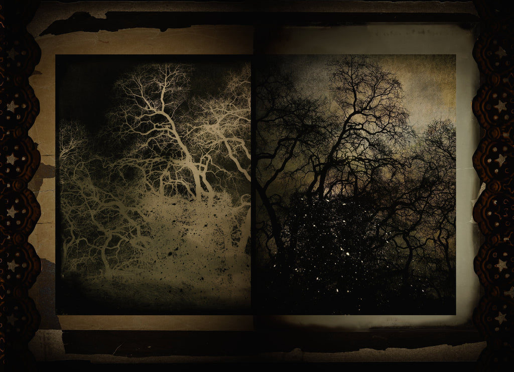 Conversations with My Other Self