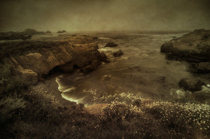 Where the Ocean Remembers