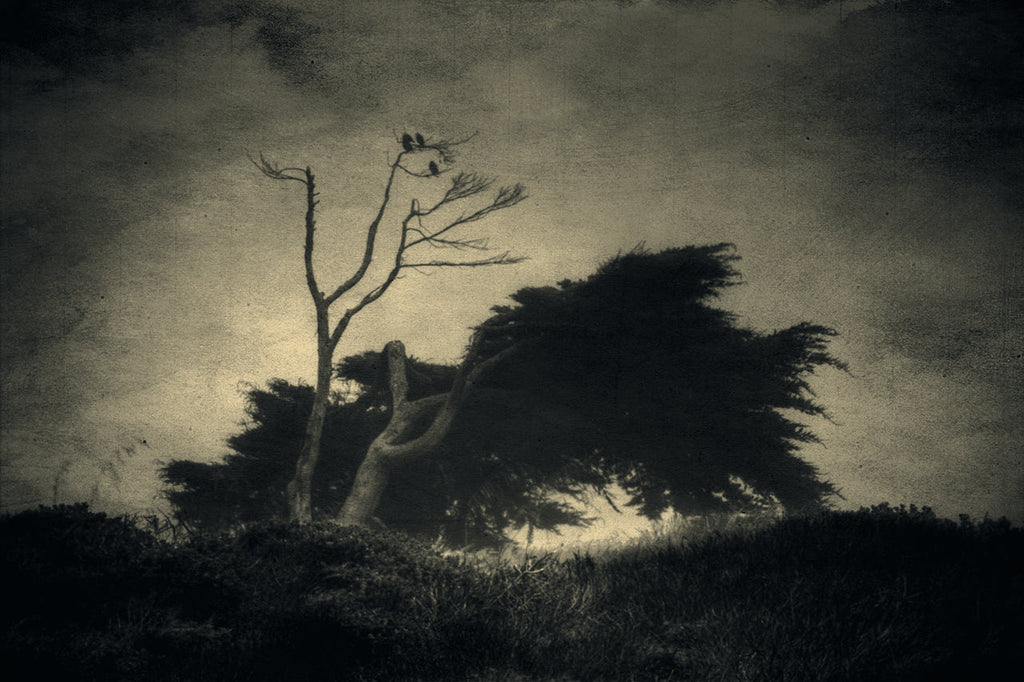 Does the Wind Remember?