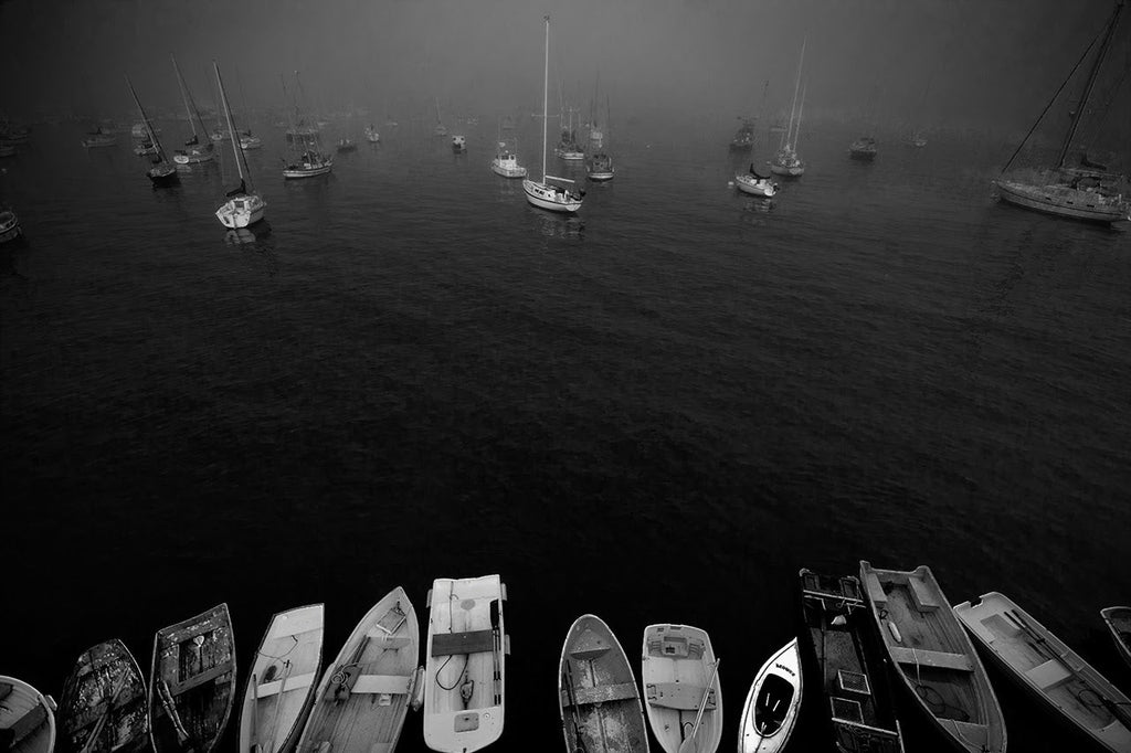 Harbor of Forgotten Voices