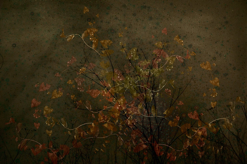 Whispers in the Night Garden