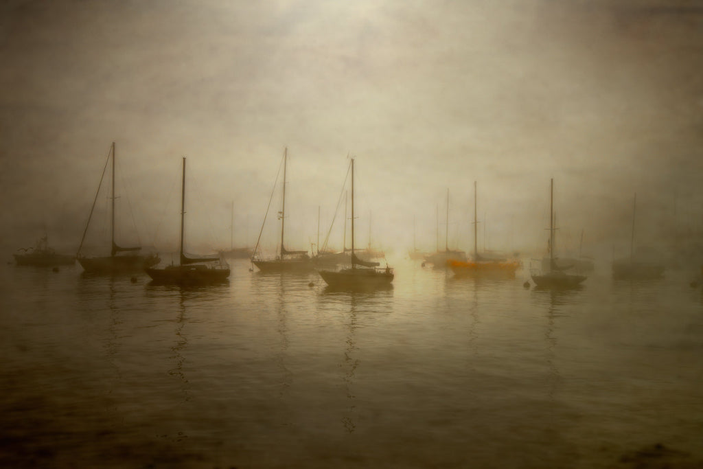 The Last Harbor