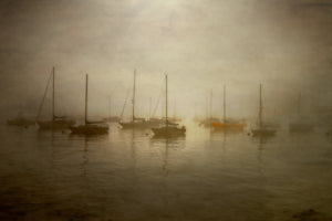 The Last Harbor
