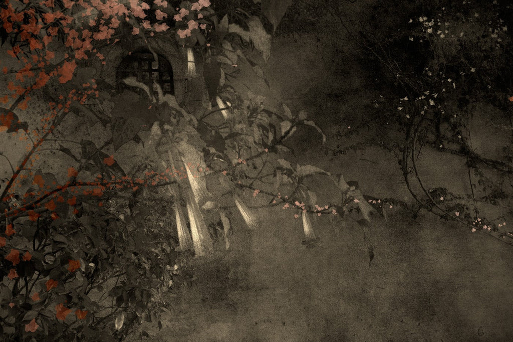 Echoes Through the Mission Wall