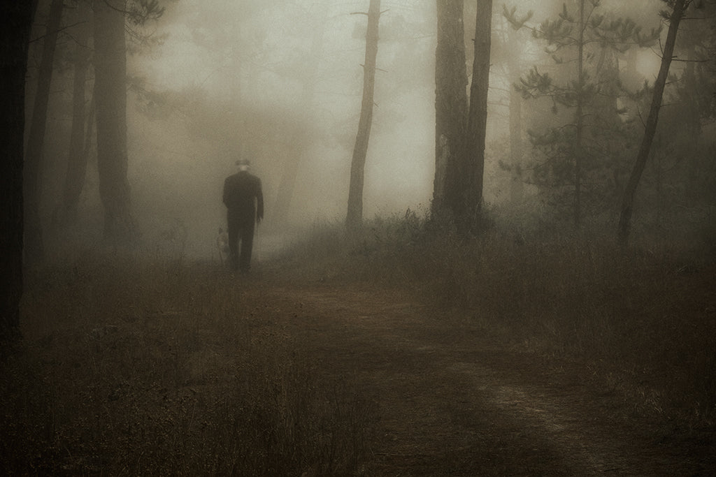 Where the Fog Remembers