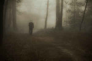 Where the Fog Remembers