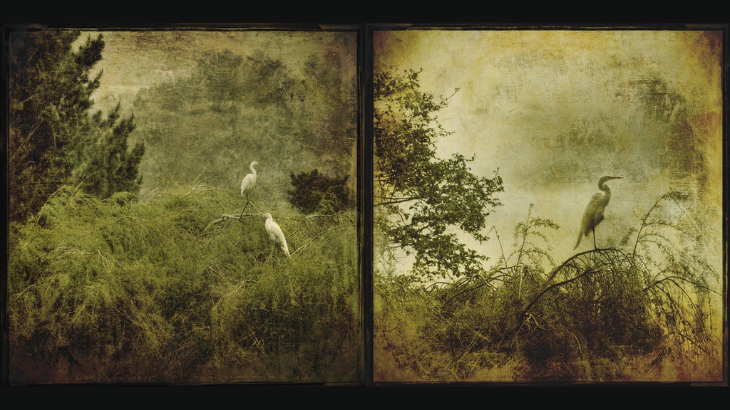 Stillness Before the Storm