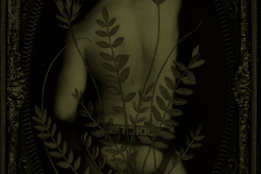 When Ferns Remembered the Body